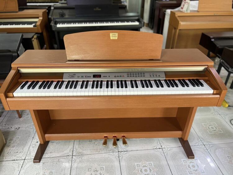 cửa hàng bán đàn piano đồng nai