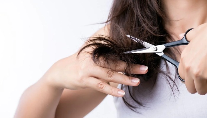 Đánh giá 7 diễn đàn chọn ngày cắt tóc phong thủy nổi bật nhất